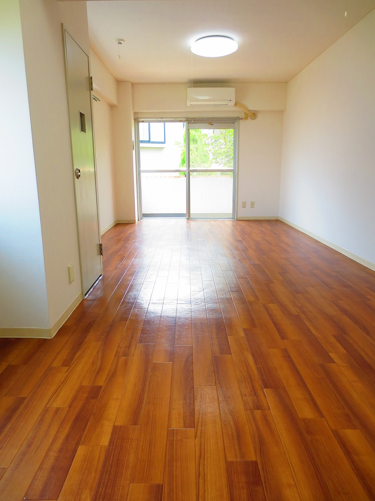 Living and room. Along with the spacious love in the living pet