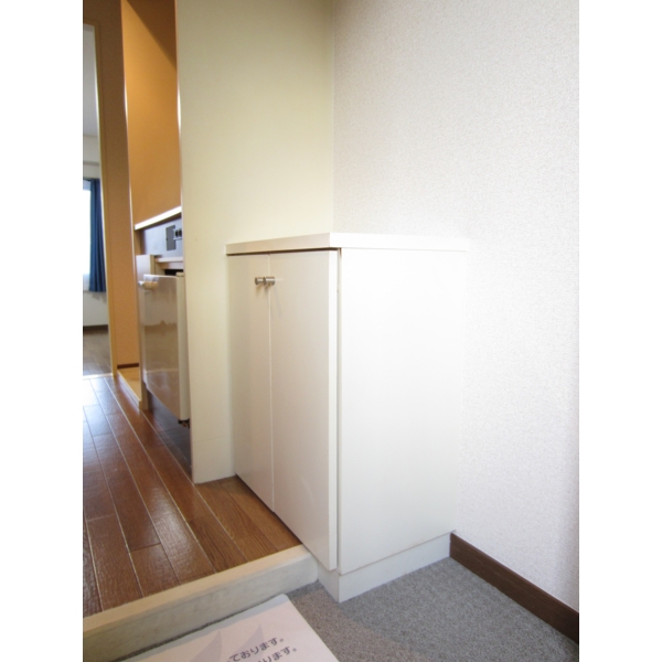 Entrance. Storage rich shoe box