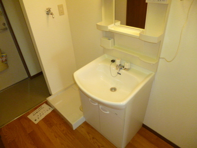 Washroom. Separate vanity