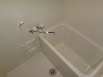 Bath. Clean bathroom