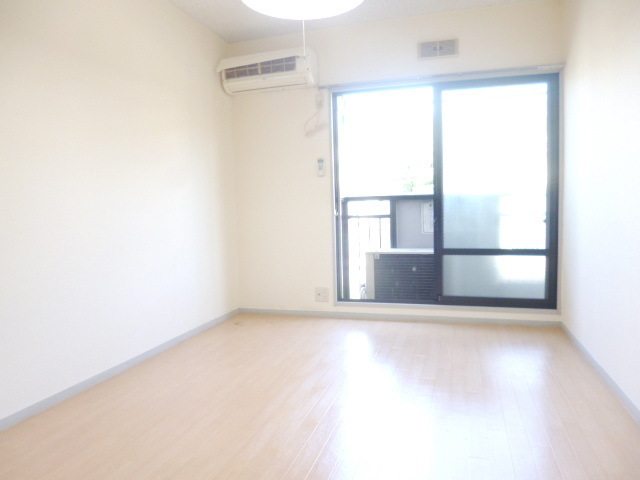 Living and room. Spacious Western-style