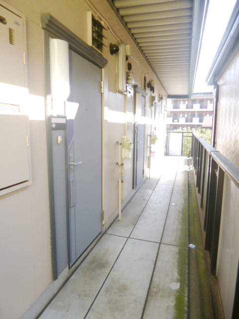 Entrance. It is the front door around