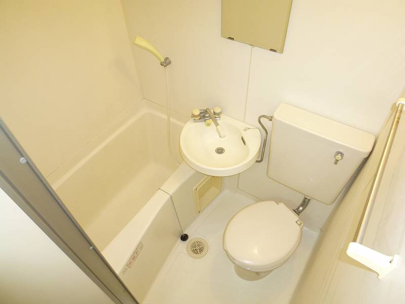 Bath. Cleaning Easy unit bus