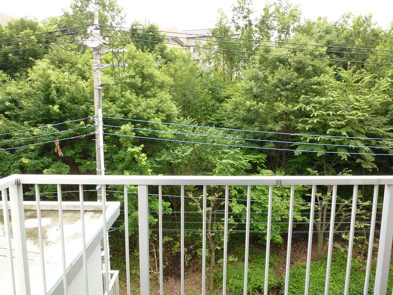 View. The front is a green space