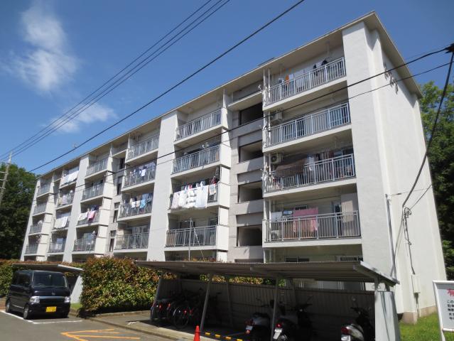 Local appearance photo. Local (06 May 2013) Shooting