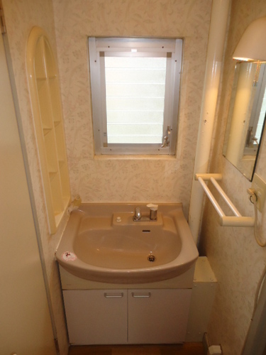 Washroom. Wash basin