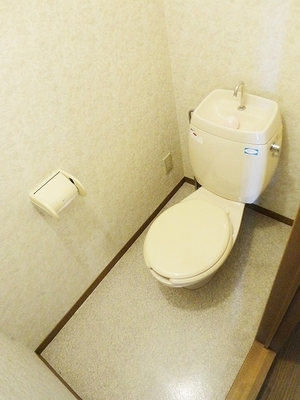 Toilet. Toilet