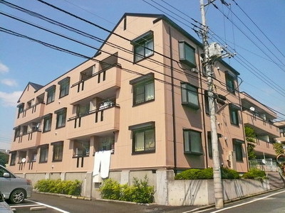 Building appearance. Steel Mansion