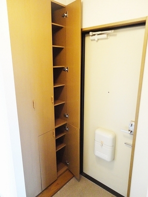 Entrance. It is a big shoe box storage