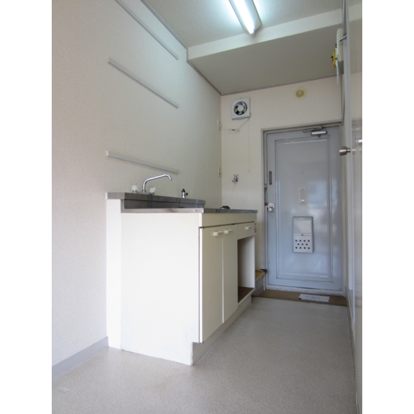 Kitchen. Bright kitchen! There is also a clear breadth!