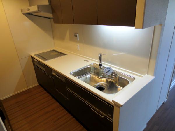 Kitchen. Kitchen. It comes with a with a disposer.