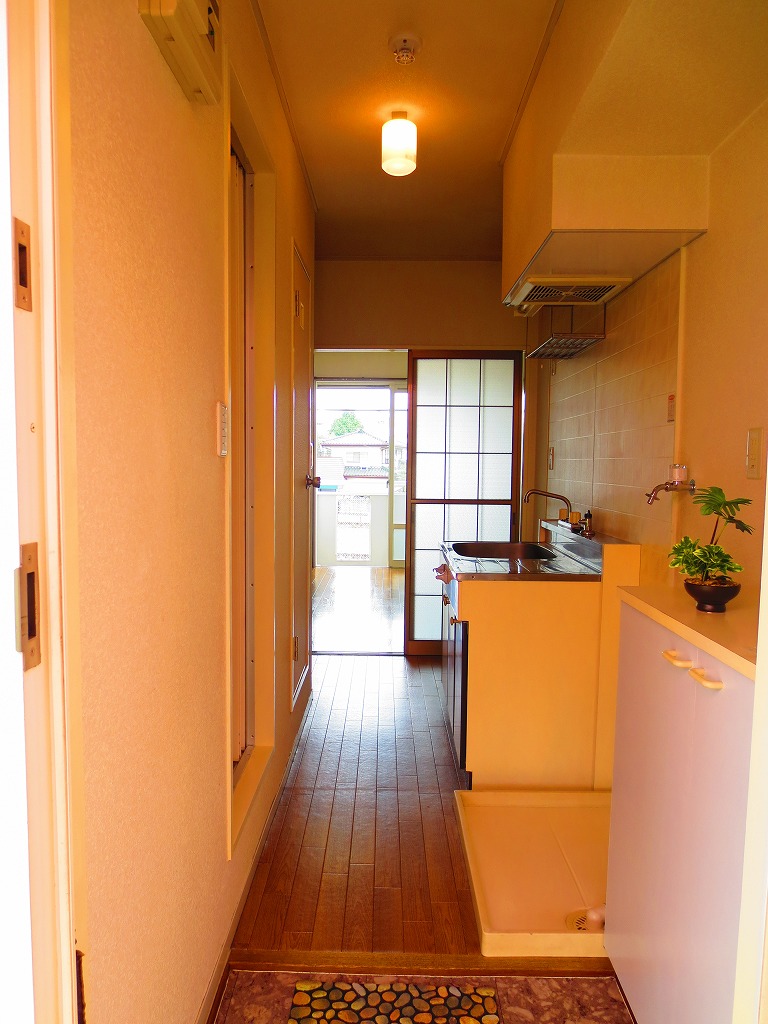 Entrance. Pitch black elimination of the night adopted a door taking. Akari