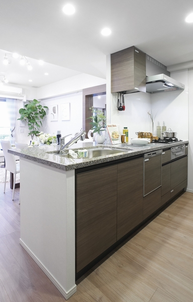 LD and open-minded counter kitchen with a sense of unity