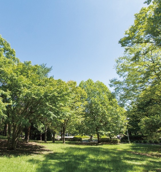 "Nagayama Kitakoen" (about 120m from local ・ A 2-minute walk)