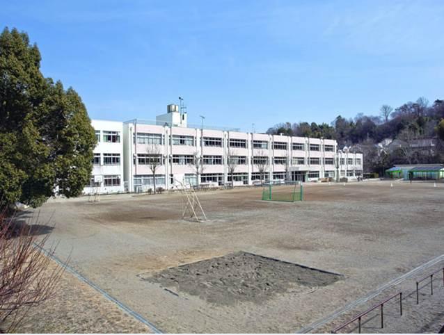 Other. Primary school