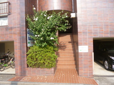 Entrance. Entrance
