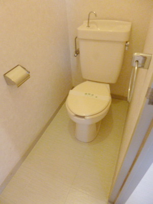 Toilet. Toilet