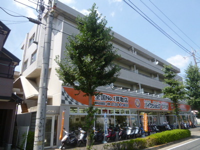 Building appearance. Mansion Type