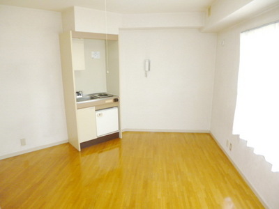 Living and room. Studio type