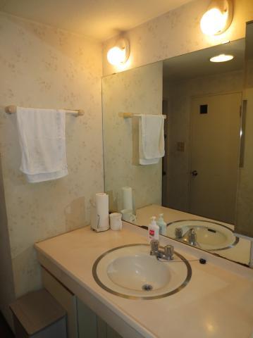 Wash basin, toilet. Bathroom vanity.