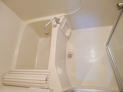 Bath. Spacious bathroom