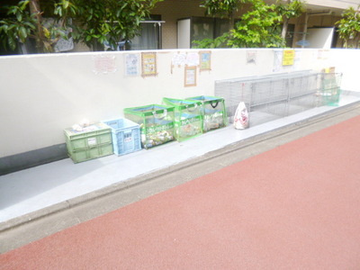 Other common areas. Garbage yard