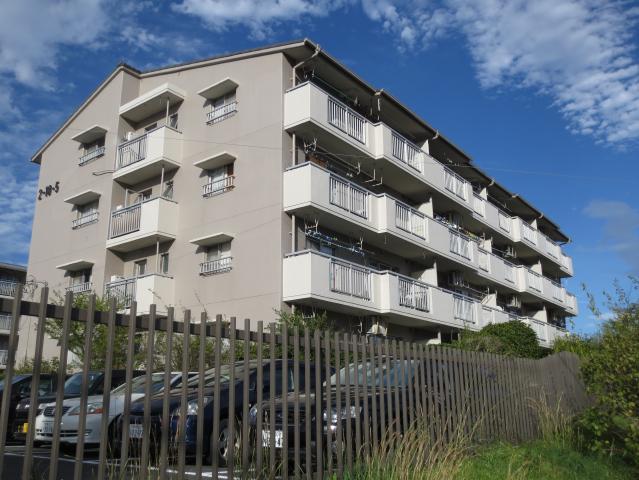 Local appearance photo. Local (10 May 2013) Shooting