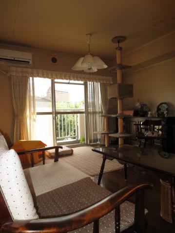 Living. Good living dining of per yang. Floor is the flooring.