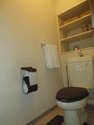 Toilet. Storage shelves will have been installed in the toilet.