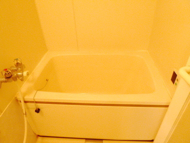 Bath. Spacious bath