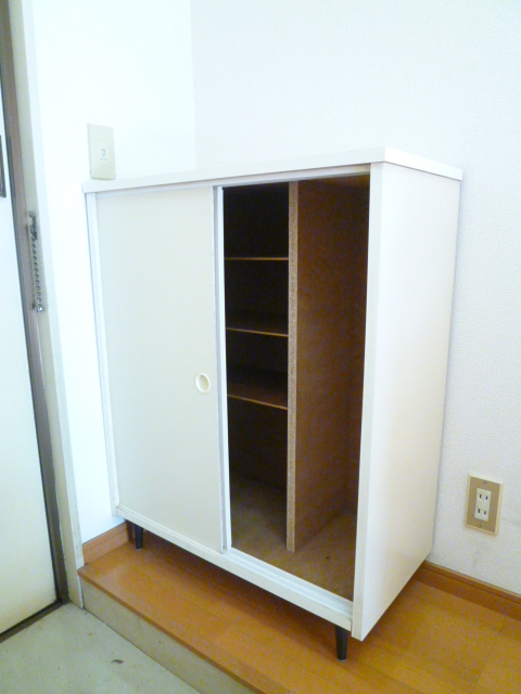 Receipt. Shoes is with a box