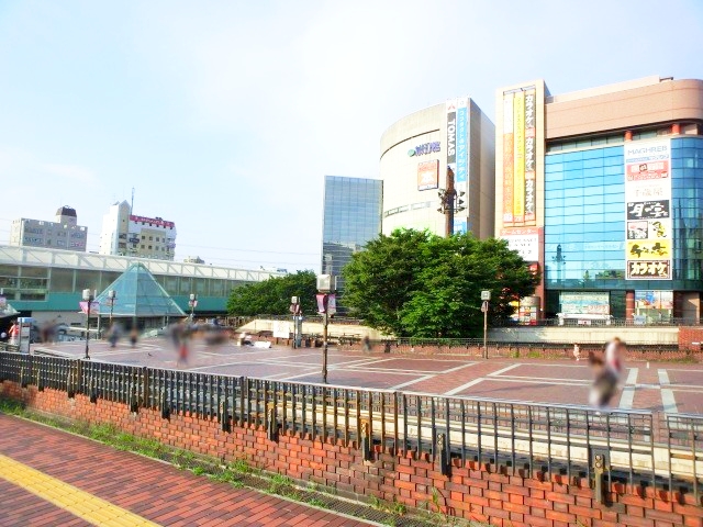 Other. Tama Center Station is like this