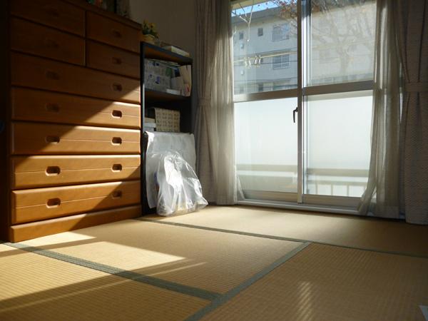 Tokyo Tama Kaidori 4