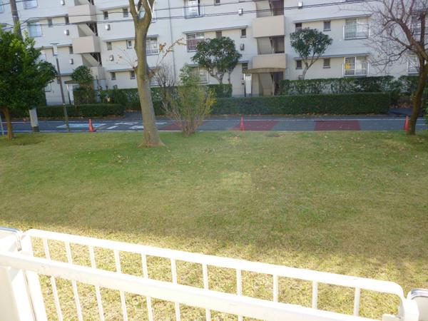 Tokyo Tama Kaidori 4