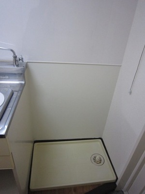 Washroom. Laundry Area