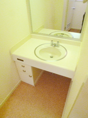 Washroom. Independent wash basin