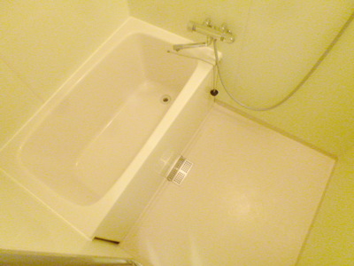 Bath. Beautiful bathroom