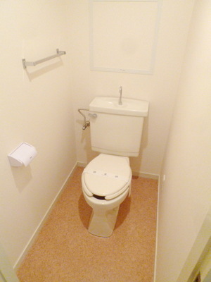 Toilet. Toilet with cleanliness