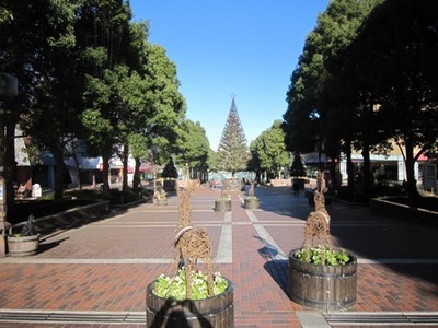 Other. 800m until Tama Center Station (Other)