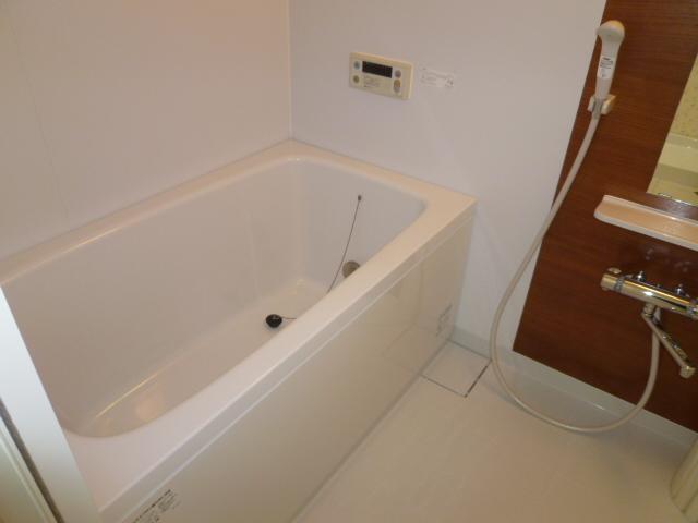 Bathroom. Indoor (March 2013) Shooting