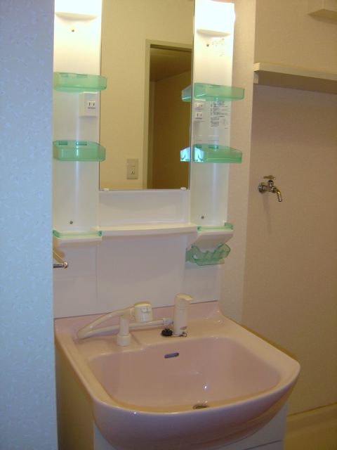 Washroom. Washbasin with shower