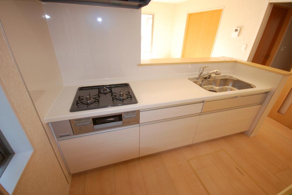 Kitchen. Indoor (12 May 2013) Shooting