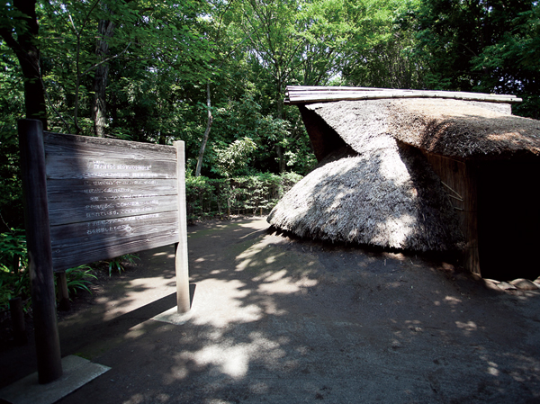 Surrounding environment. It ruins garden ・ Jomon village (6-minute walk / About 440m)