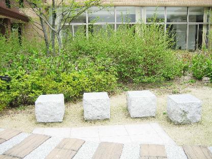 Other. Oasis of on-site