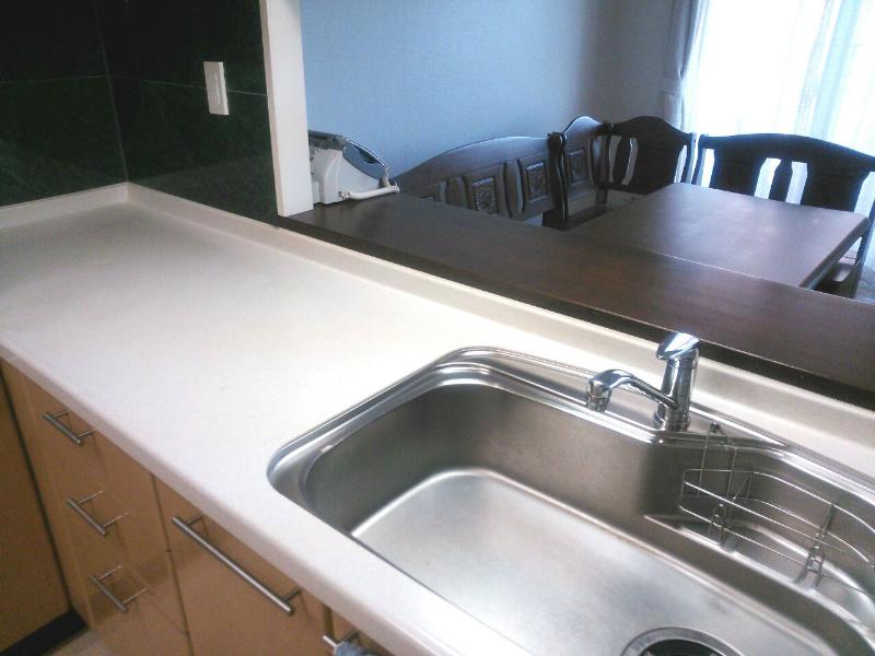 Other. With disposer