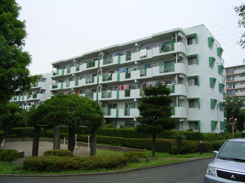 Local appearance photo. Local (July 2013) Shooting