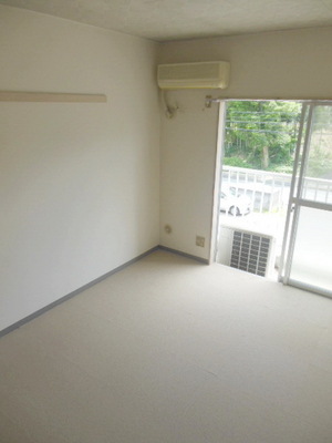 Living and room. Sunny living room