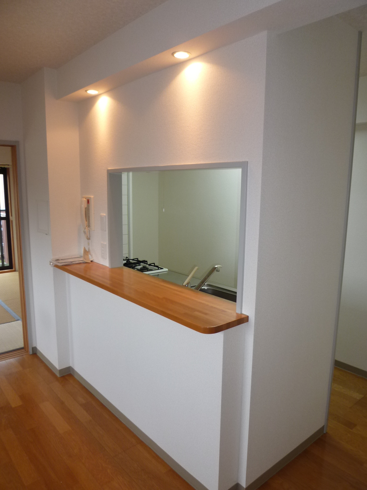 Kitchen. Counter Kitchen! With Down Light!