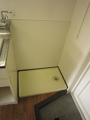 Washroom. Laundry Area