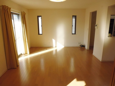 Living and room. Bright living